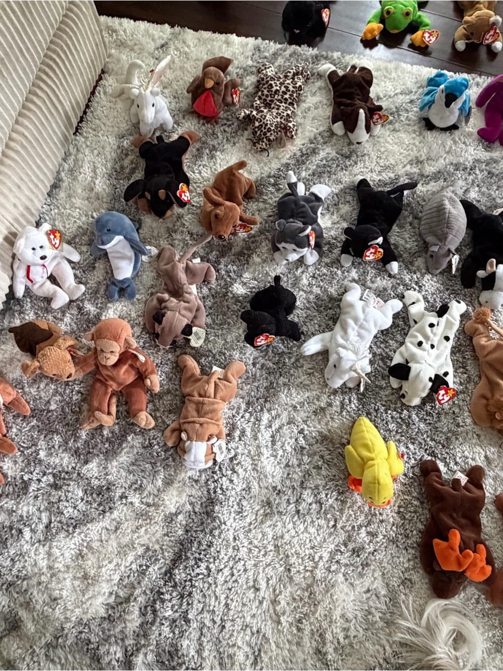 Ty Plush Beanie Baby Mix — Brown, Black, White, Gray, Yellow, Blue
